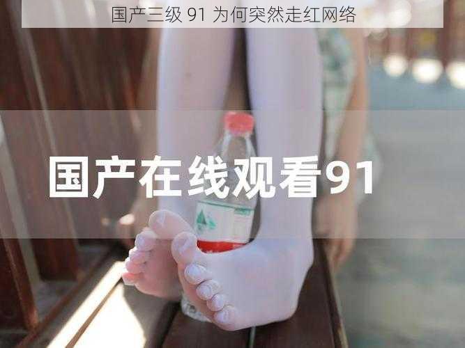 国产三级 91 为何突然走红网络