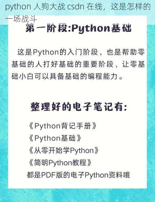 python 人狗大战 csdn 在线，这是怎样的一场战斗