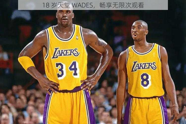 18 岁天堂 WADES，畅享无限次观看