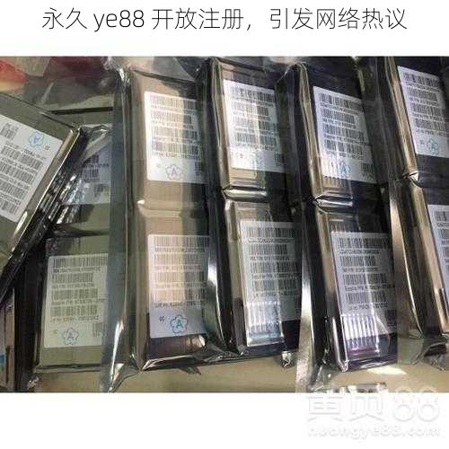 永久 ye88 开放注册，引发网络热议