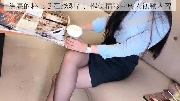 漂亮的秘书 3 在线观看，提供精彩的成人视频内容