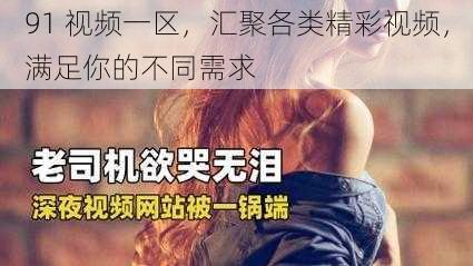 91 视频一区，汇聚各类精彩视频，满足你的不同需求