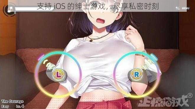 支持 iOS 的绅士游戏，尽享私密时刻