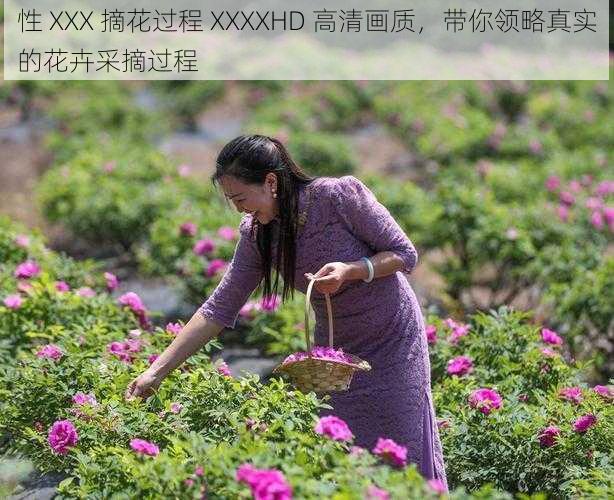 性 XXX 摘花过程 XXXXHD 高清画质，带你领略真实的花卉采摘过程