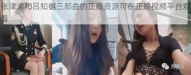 张津渝和吕知樾三部曲的正版资源可在正规视频平台观看