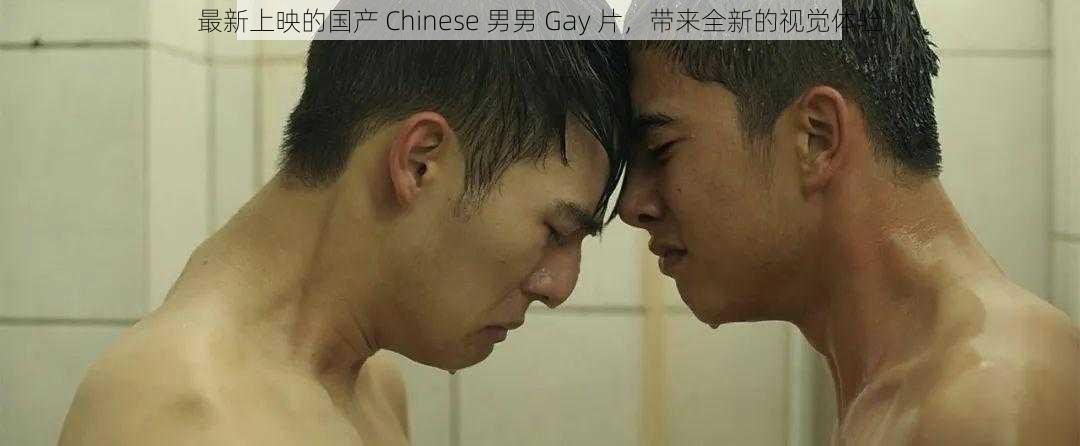 最新上映的国产 Chinese 男男 Gay 片，带来全新的视觉体验