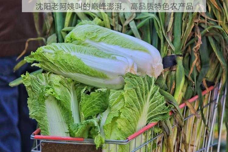 沈阳老阿姨叫的巅峰澎湃，高品质特色农产品