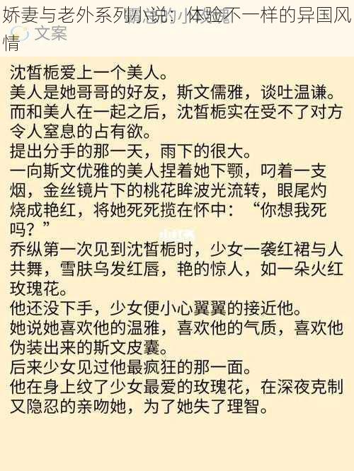 娇妻与老外系列小说：体验不一样的异国风情