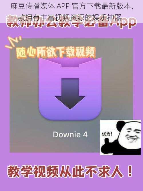 麻豆传播媒体 APP 官方下载最新版本，一款拥有丰富视频资源的娱乐神器