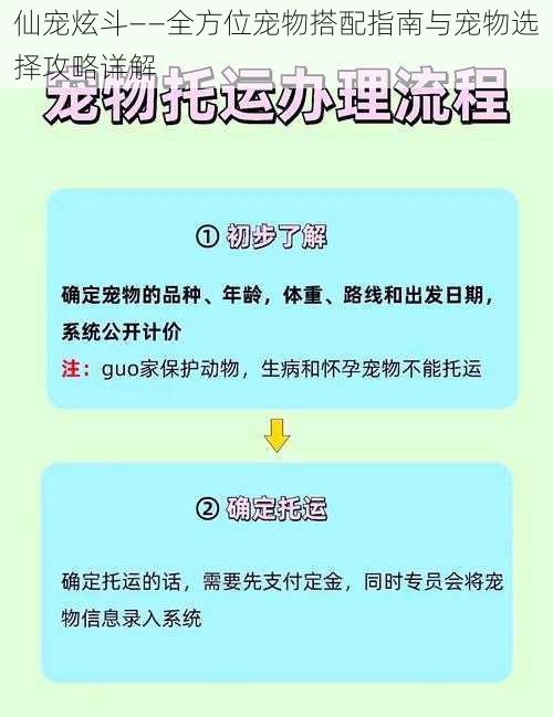 仙宠炫斗——全方位宠物搭配指南与宠物选择攻略详解