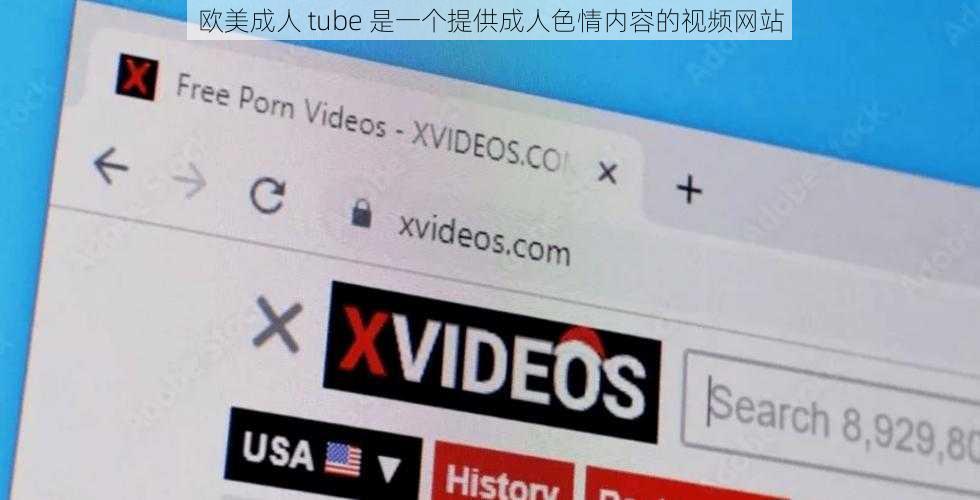 欧美成人 tube 是一个提供成人色情内容的视频网站