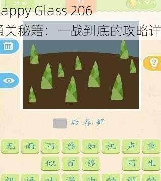 《Happy Glass 206关通关秘籍：一战到底的攻略详解》