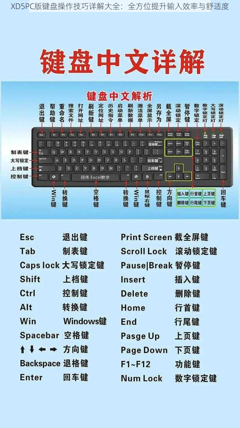 XD5PC版键盘操作技巧详解大全：全方位提升输入效率与舒适度