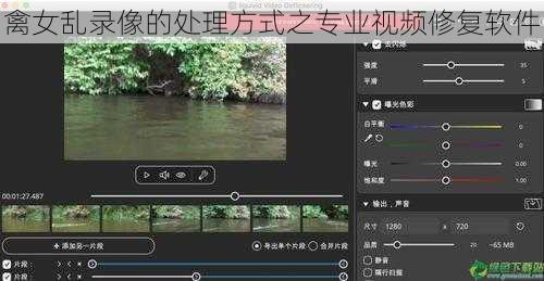 禽女乱录像的处理方式之专业视频修复软件