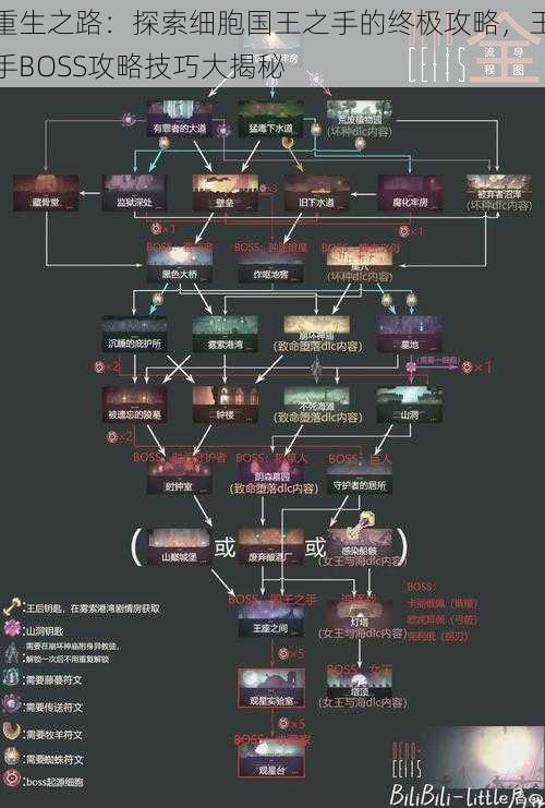 重生之路：探索细胞国王之手的终极攻略，王手BOSS攻略技巧大揭秘