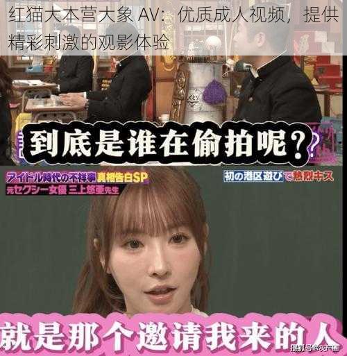 红猫大本营大象 AV：优质成人视频，提供精彩刺激的观影体验