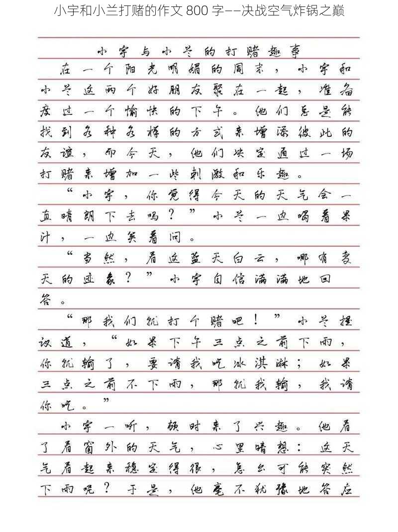 小宇和小兰打赌的作文 800 字——决战空气炸锅之巅