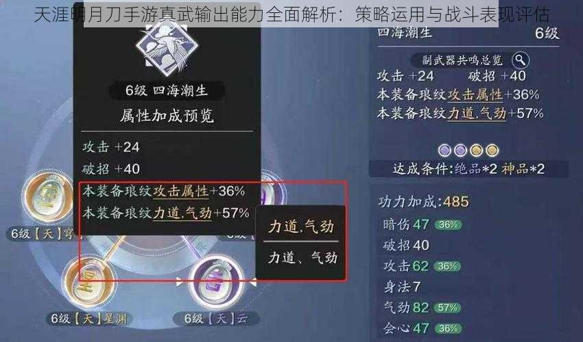 天涯明月刀手游真武输出能力全面解析：策略运用与战斗表现评估