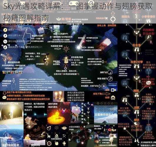 Sky光遇攻略详解：一图掌握动作与翅膀获取秘籍图解指南