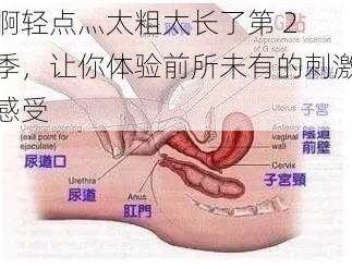 啊轻点灬太粗太长了第 2 季，让你体验前所未有的刺激感受