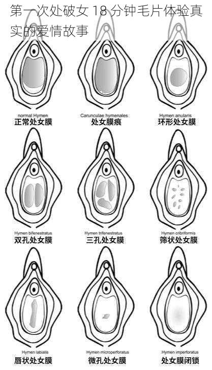 第一次处破女 18 分钟毛片体验真实的爱情故事