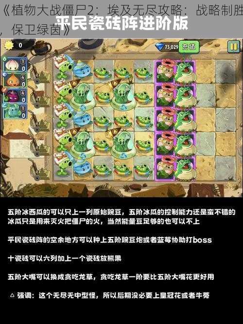 《植物大战僵尸2：埃及无尽攻略：战略制胜，保卫绿茵》