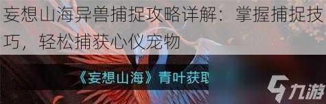 妄想山海异兽捕捉攻略详解：掌握捕捉技巧，轻松捕获心仪宠物