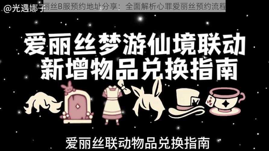 心罪爱丽丝B服预约地址分享：全面解析心罪爱丽丝预约流程与指南