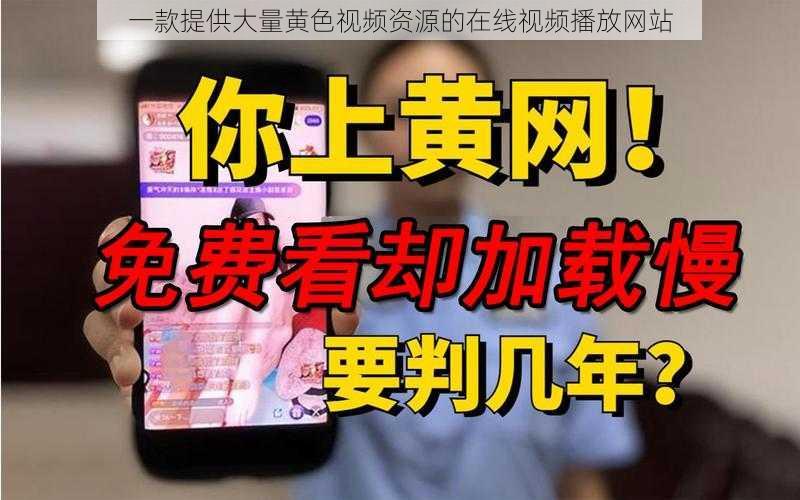 一款提供大量黄色视频资源的在线视频播放网站