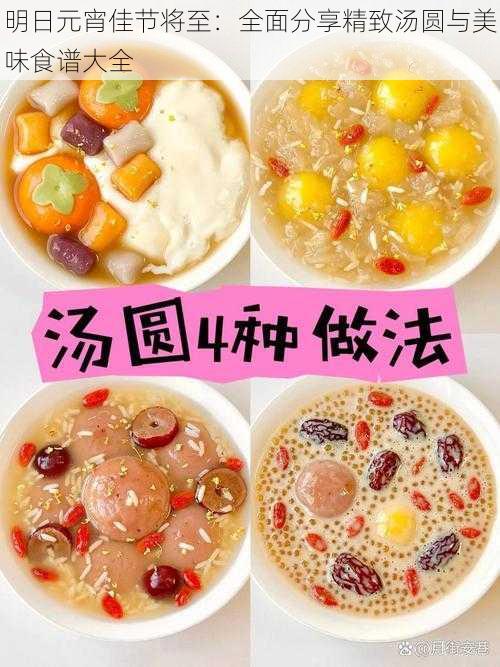 明日元宵佳节将至：全面分享精致汤圆与美味食谱大全