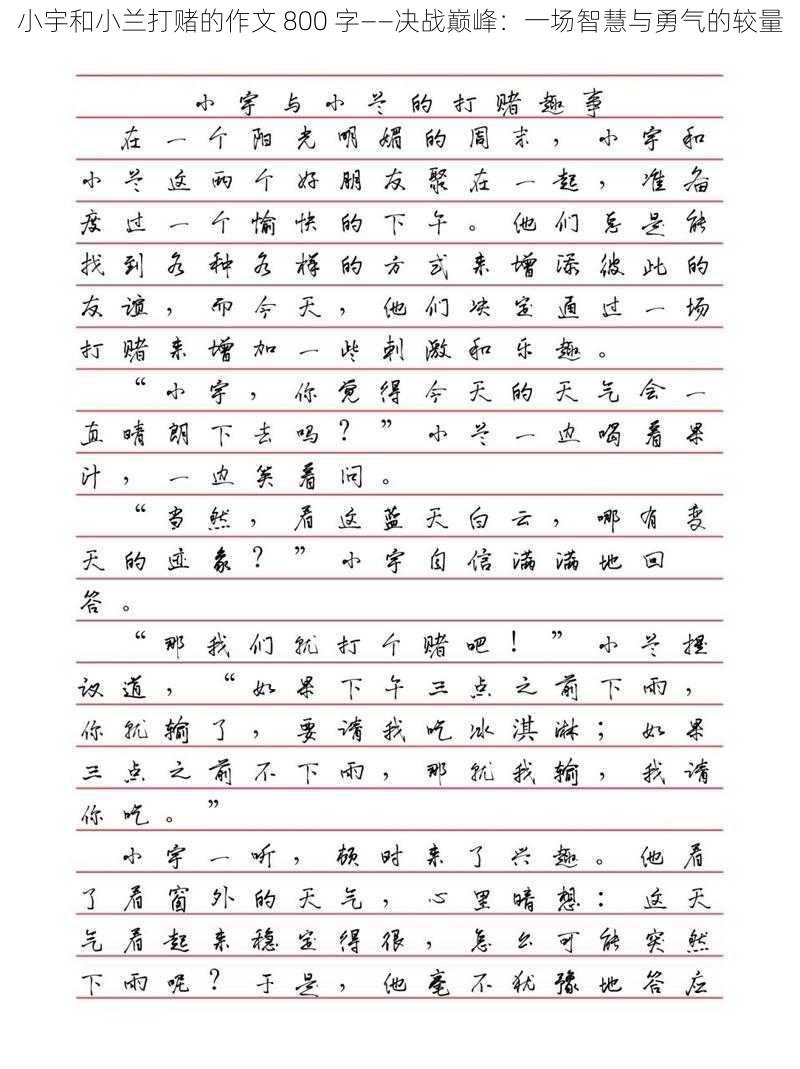 小宇和小兰打赌的作文 800 字——决战巅峰：一场智慧与勇气的较量