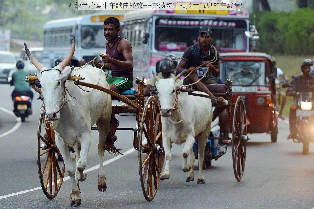 四级台湾驾牛车歌曲播放——充满欢乐和乡土气息的车载音乐