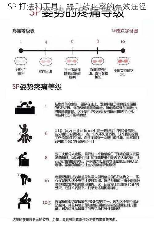 SP 打法和工具：提升转化率的有效途径