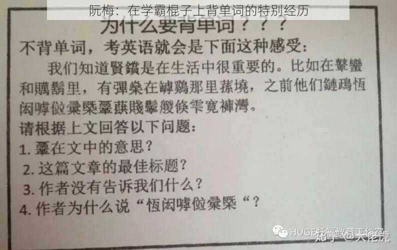 阮梅：在学霸棍子上背单词的特别经历