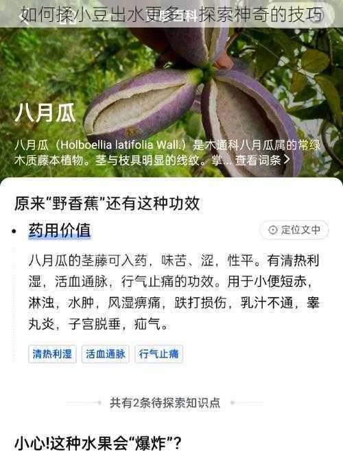 如何揉小豆出水更多：探索神奇的技巧