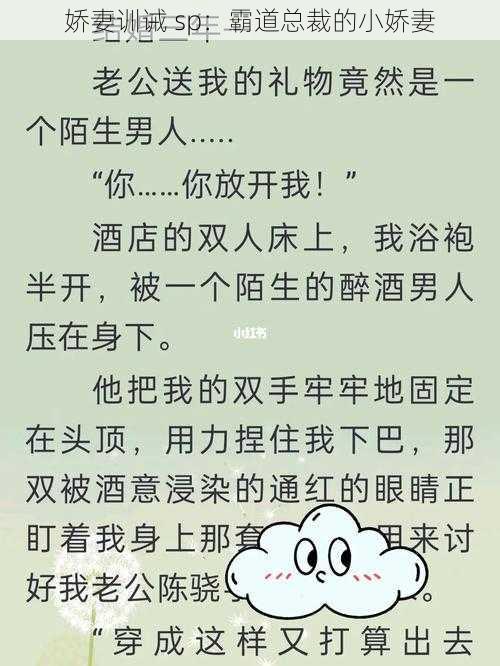 娇妻训诫 sp：霸道总裁的小娇妻