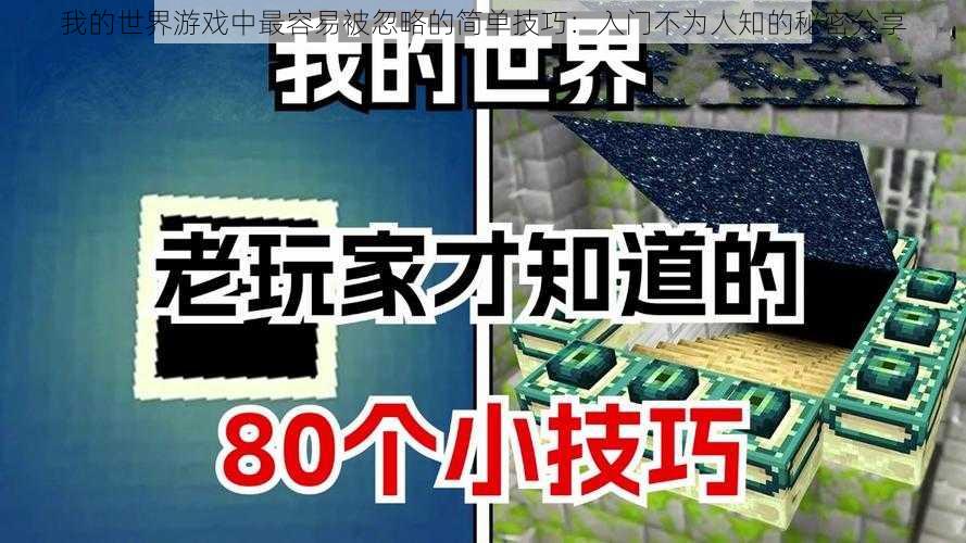 我的世界游戏中最容易被忽略的简单技巧：入门不为人知的秘密分享