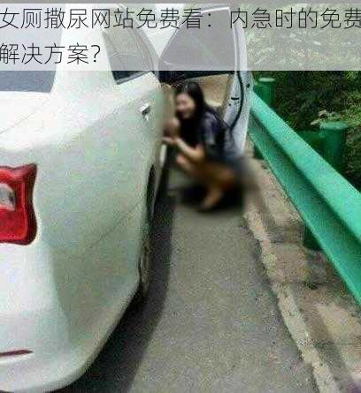 女厕撒尿网站免费看：内急时的免费解决方案？