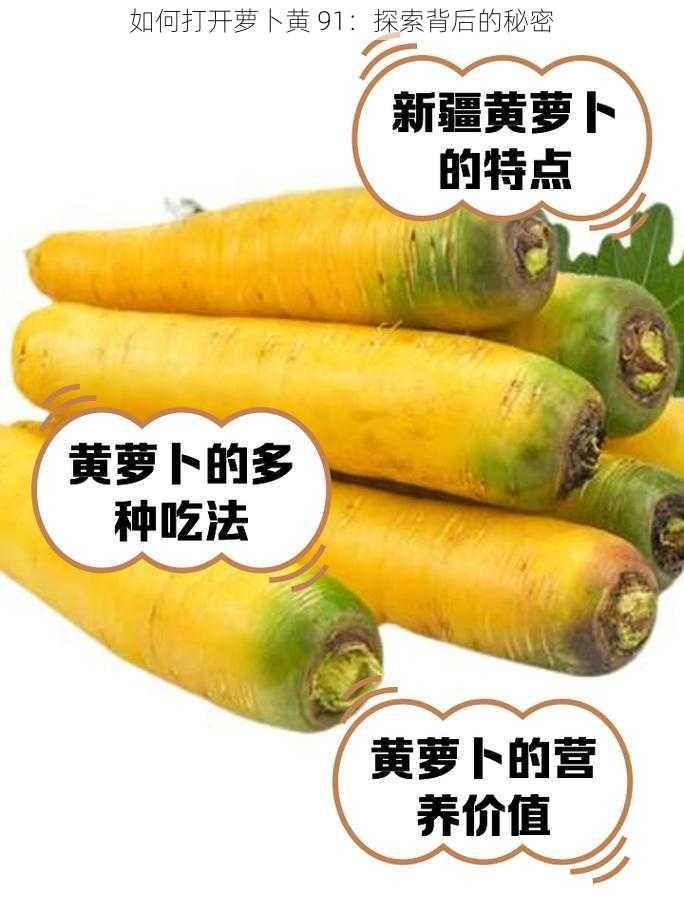 如何打开萝卜黄 91：探索背后的秘密