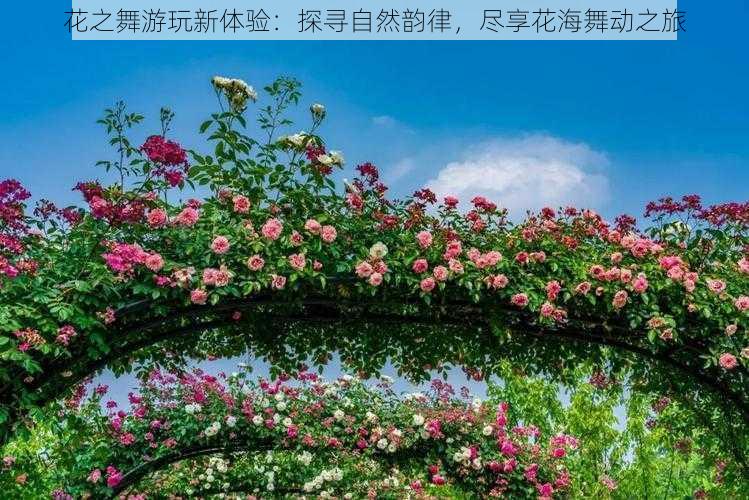 花之舞游玩新体验：探寻自然韵律，尽享花海舞动之旅