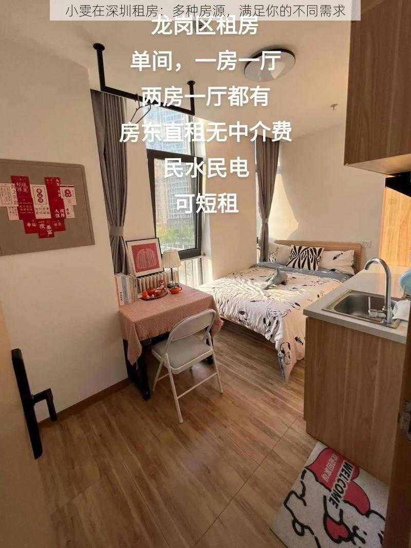 小雯在深圳租房：多种房源，满足你的不同需求