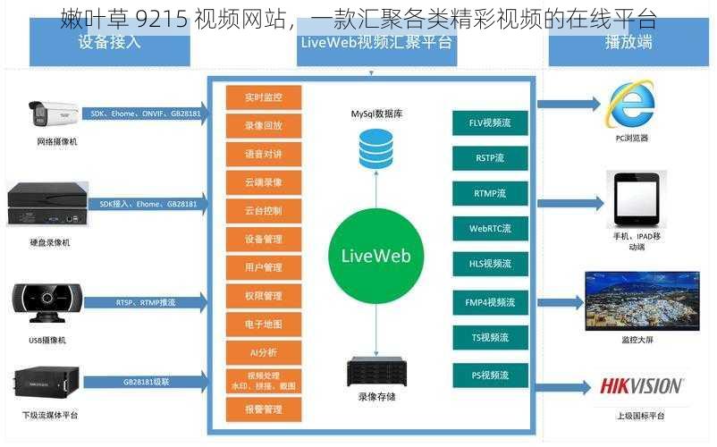 嫩叶草 9215 视频网站，一款汇聚各类精彩视频的在线平台