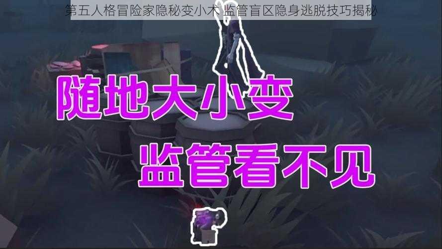 第五人格冒险家隐秘变小术 监管盲区隐身逃脱技巧揭秘