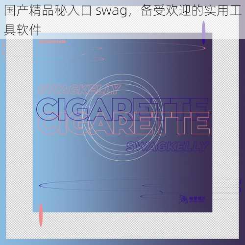 国产精品秘入口 swag，备受欢迎的实用工具软件