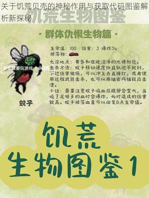 关于饥荒贝壳的神秘作用与获取代码图鉴解析新探秘