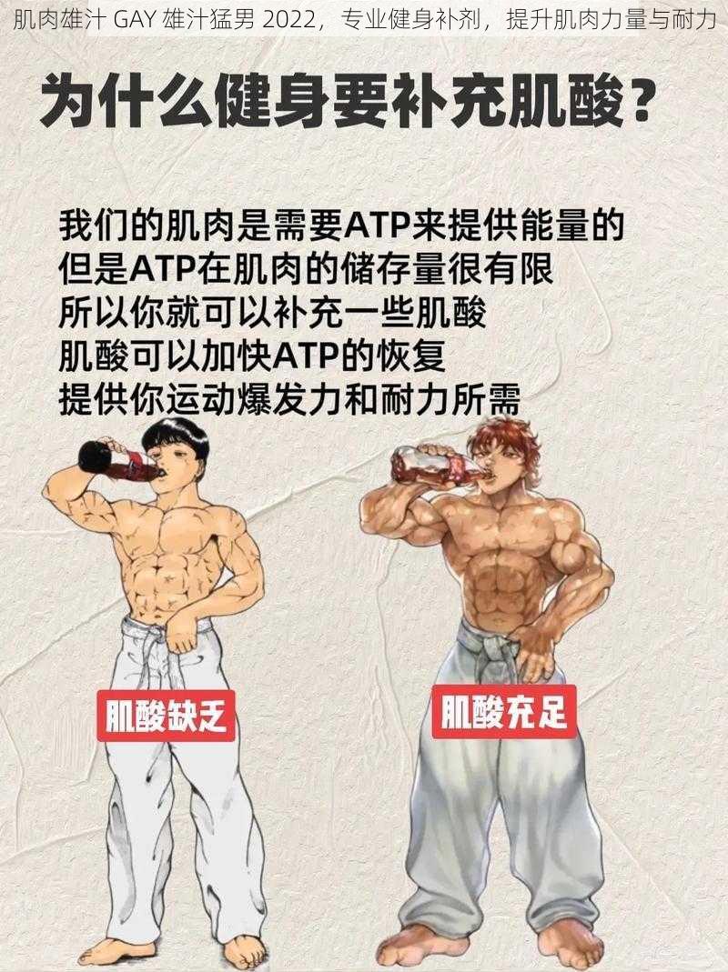 肌肉雄汁 GAY 雄汁猛男 2022，专业健身补剂，提升肌肉力量与耐力