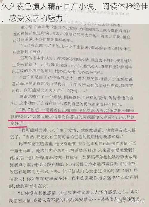 久久夜色撩人精品国产小说，阅读体验绝佳，感受文字的魅力