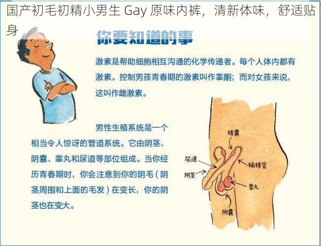 国产初毛初精小男生 Gay 原味内裤，清新体味，舒适贴身