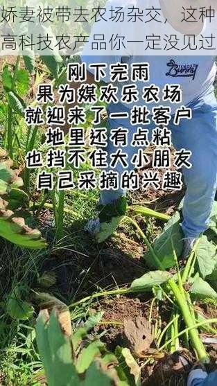 娇妻被带去农场杂交，这种高科技农产品你一定没见过