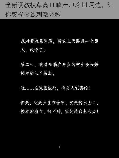 全新调教校草高 H 喷汁呻吟 bl 周边，让你感受极致刺激体验